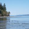 Tolmie: #21- 8 miles northeast of Olympia, 5 buoys, restrooms, showers, trails, picnic sites and a nice beach.