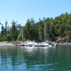 #6 - Jones Island | West of Deer Harbor. Day & overnight mooring/camping. North-end has dock space, buoys & good anchorage. South-end has a few buoys and ok anchorage but subject to boat traffic. Picnic areas, toilets, great beaches, hiking and deer!

